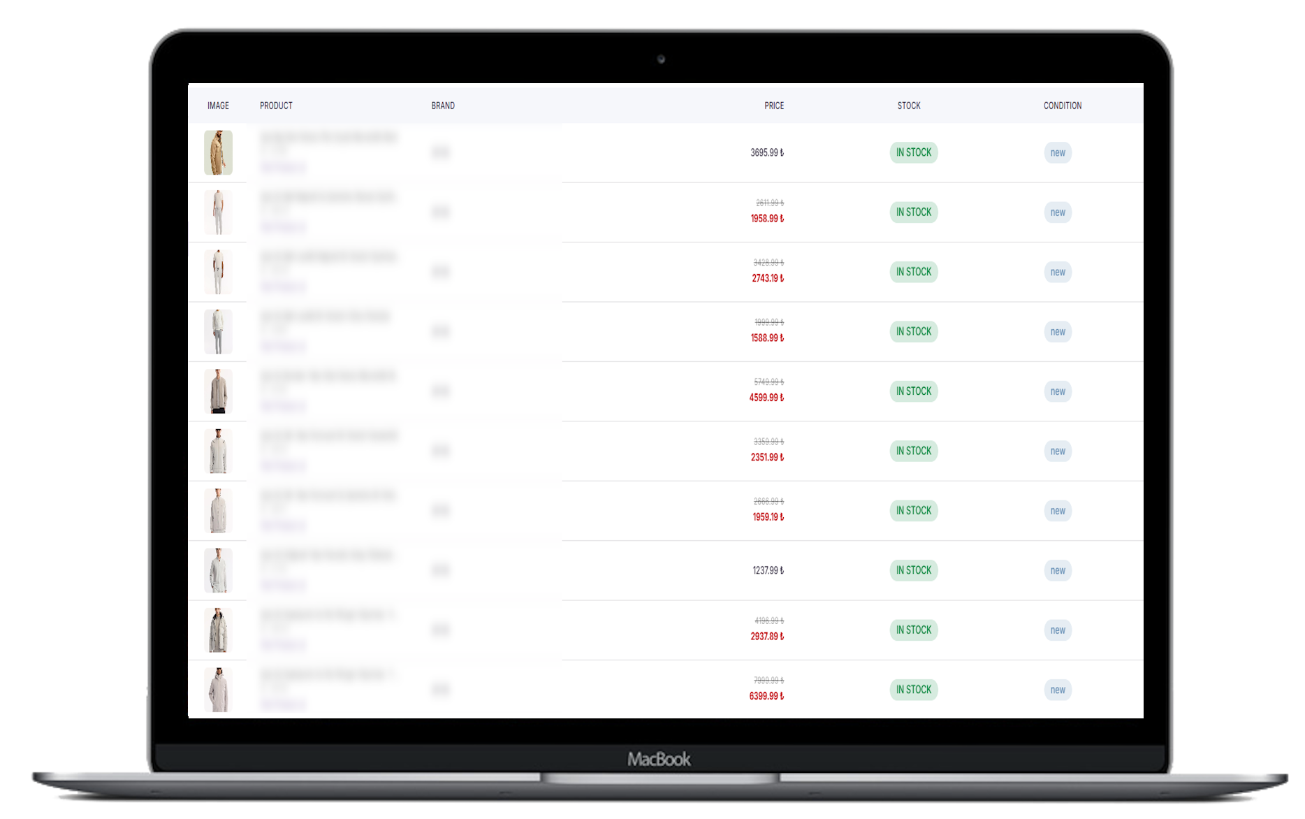 Feed Ingestion Preview
